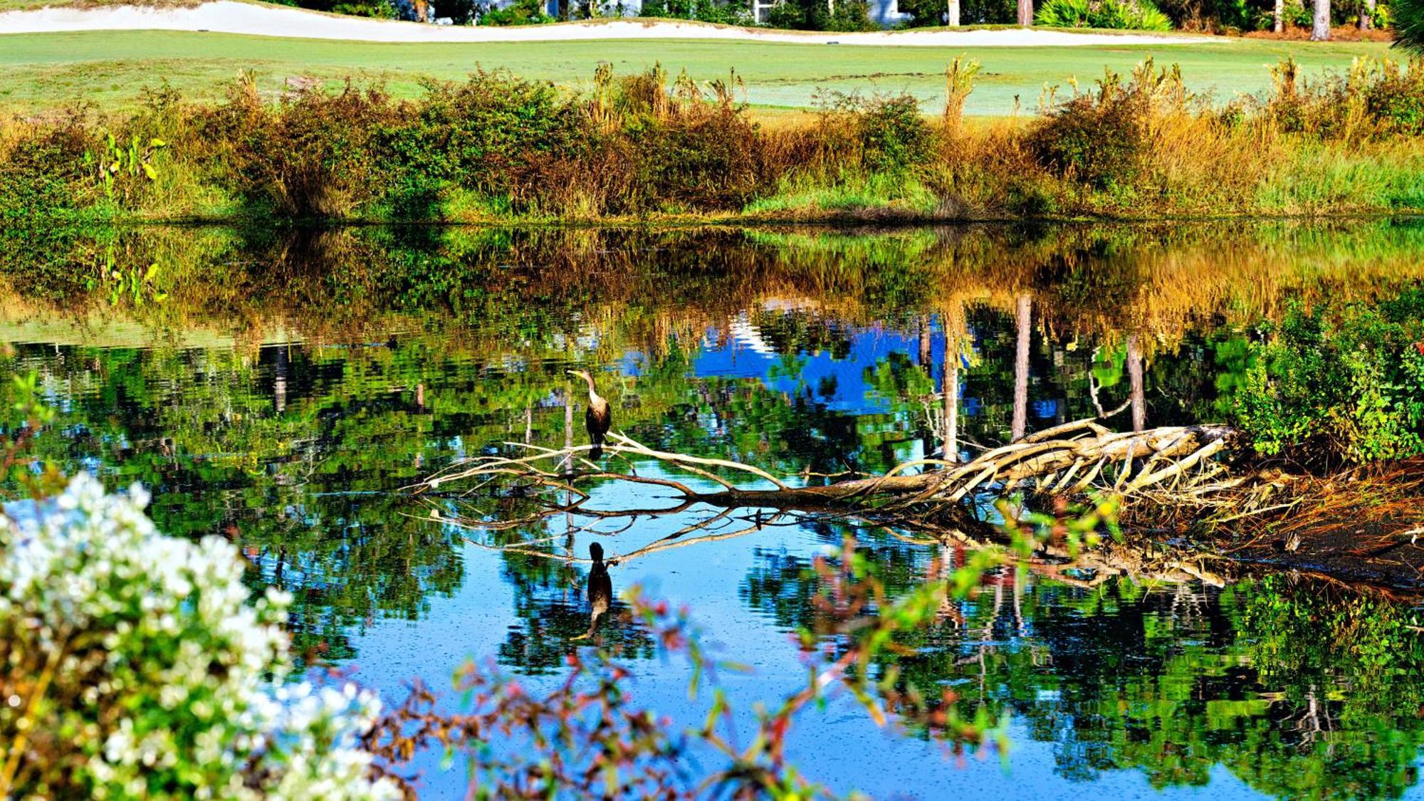 Aparthotel St Bay Golf & Pickleball Big Blackjack Landing