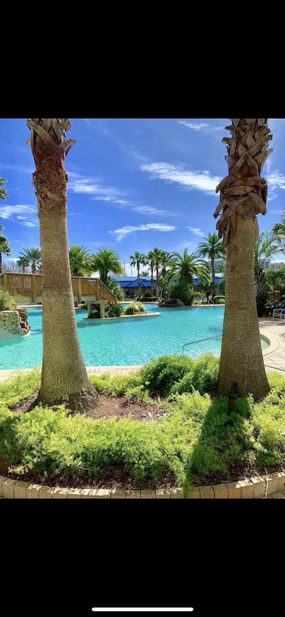The Palms Of Destin-2116 *