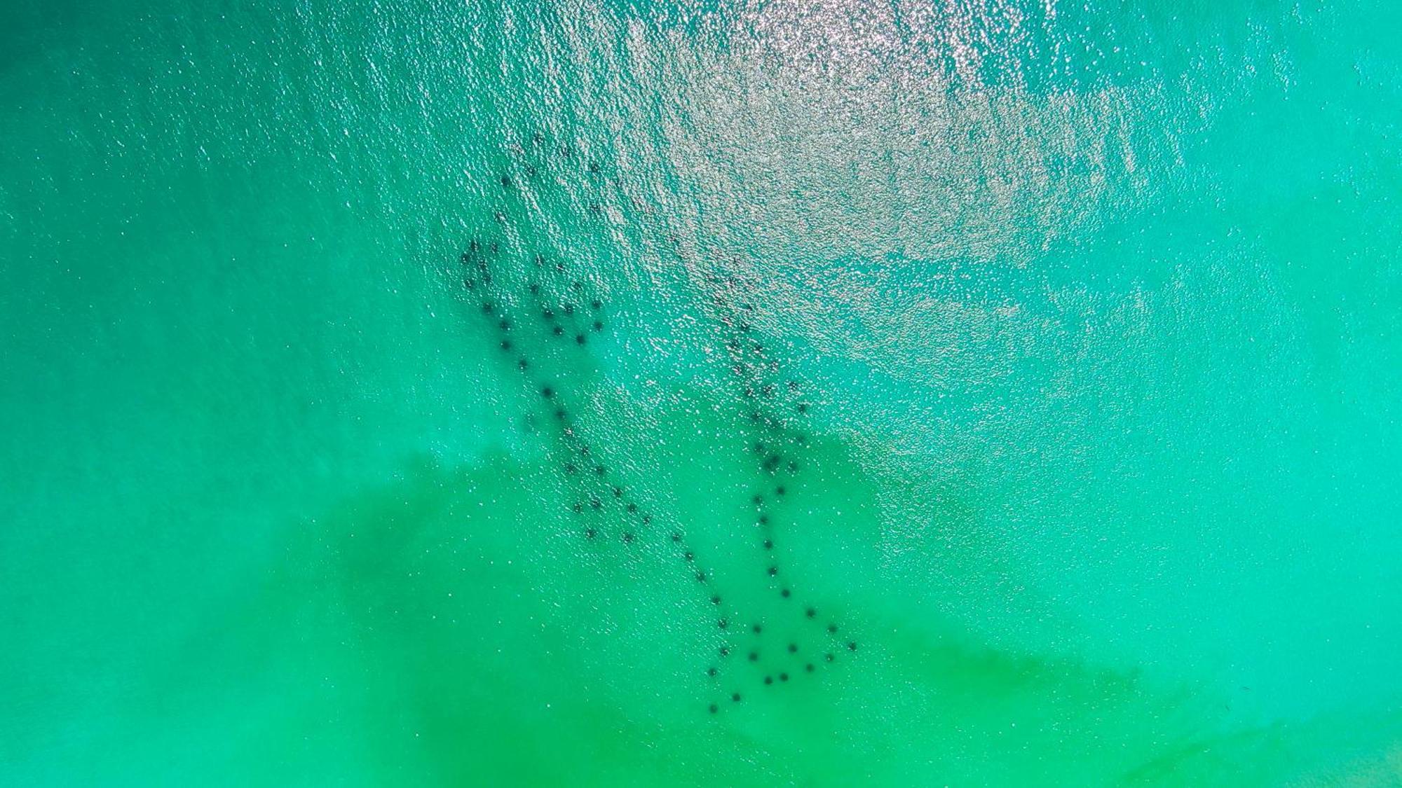 Sanity By The Sea By 30a Escapes Inlet Beach
