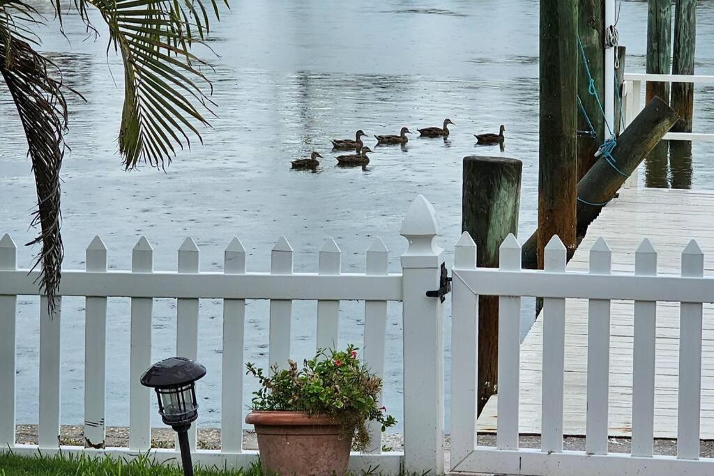 Holiday home Irb Surf House Waterfront Oasis+ Sunshine +fun Kayaks *