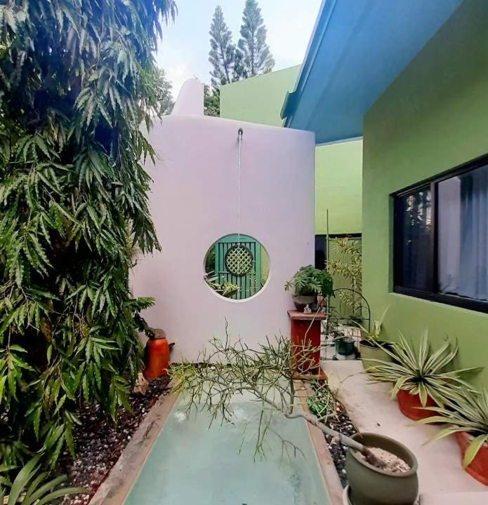 Unique Art & Nature Hideaway Walk To Wilton Drive Holiday home Fort Lauderdale