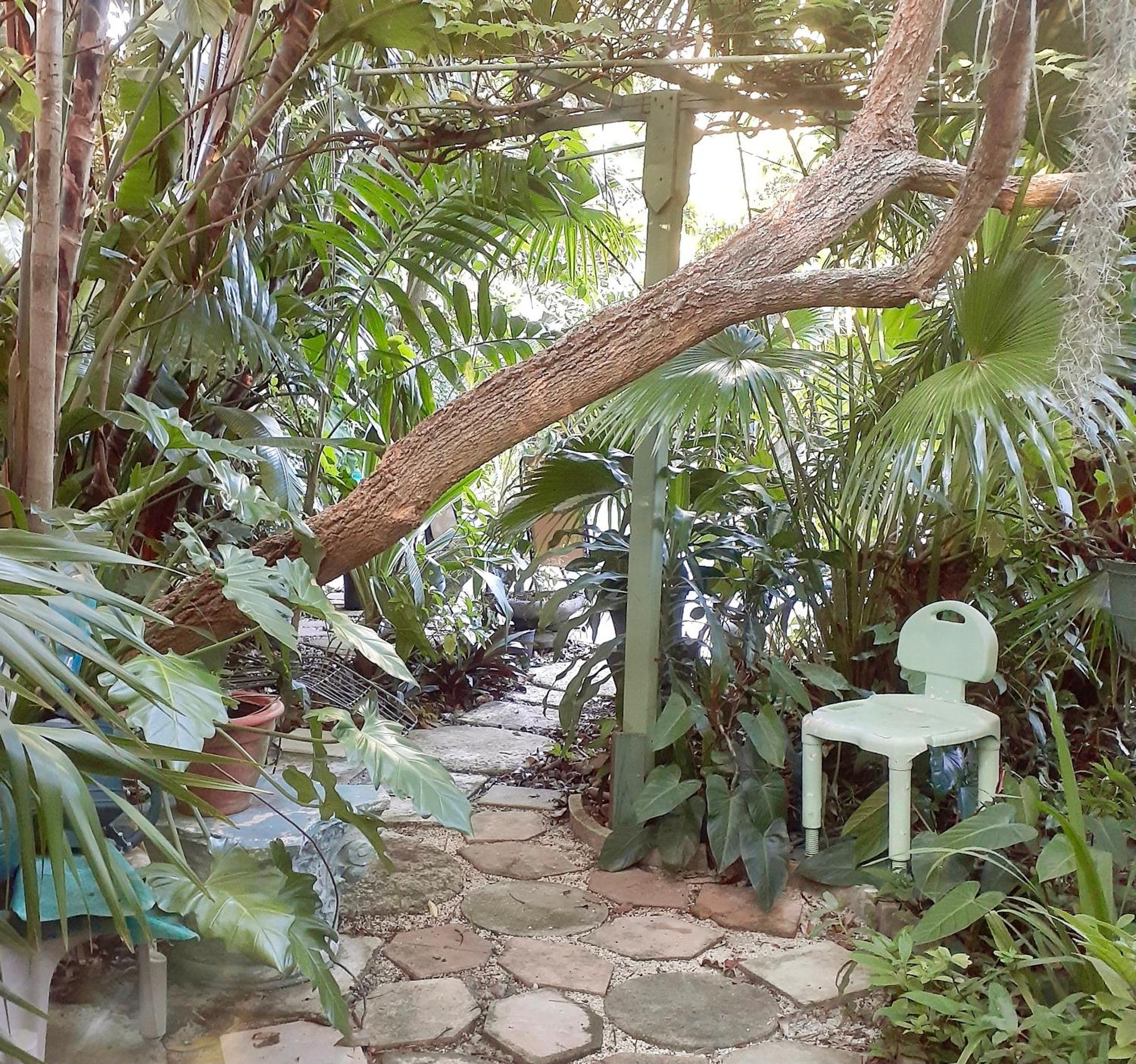 Unique Art & Nature Hideaway Walk To Wilton Drive * Fort Lauderdale