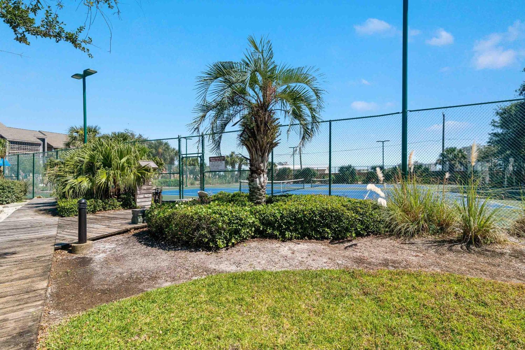 Needle Rush Point Unit G23 * Pensacola