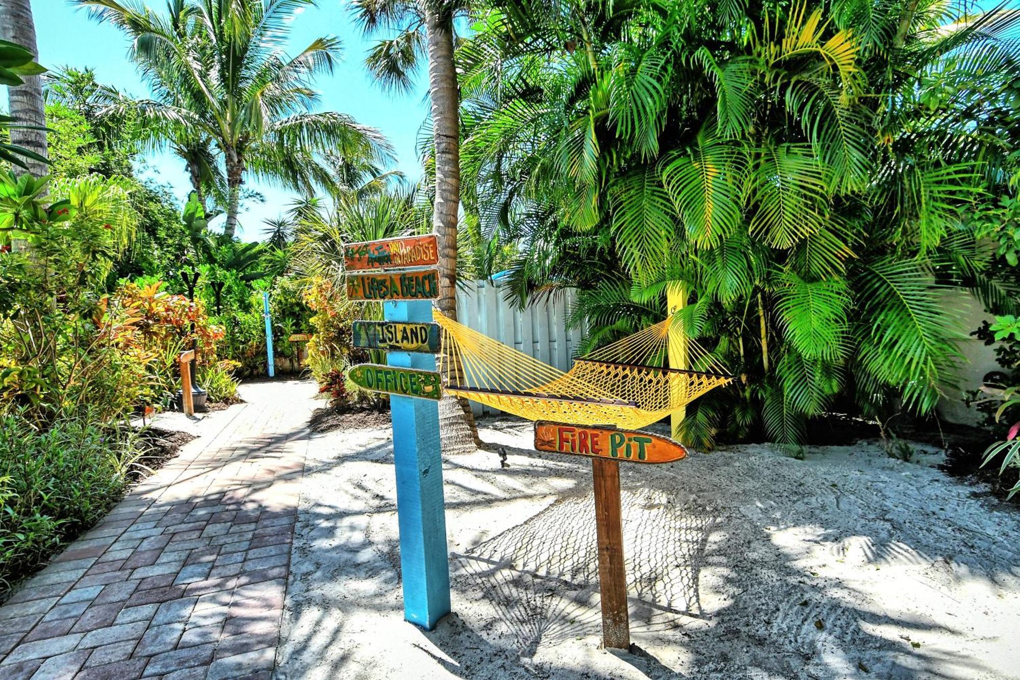 Siesta Key Palms Sarasota