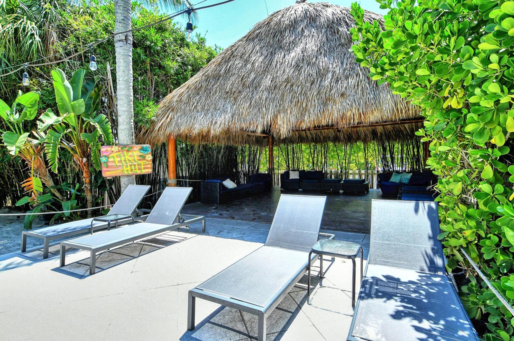 Siesta Key Palms