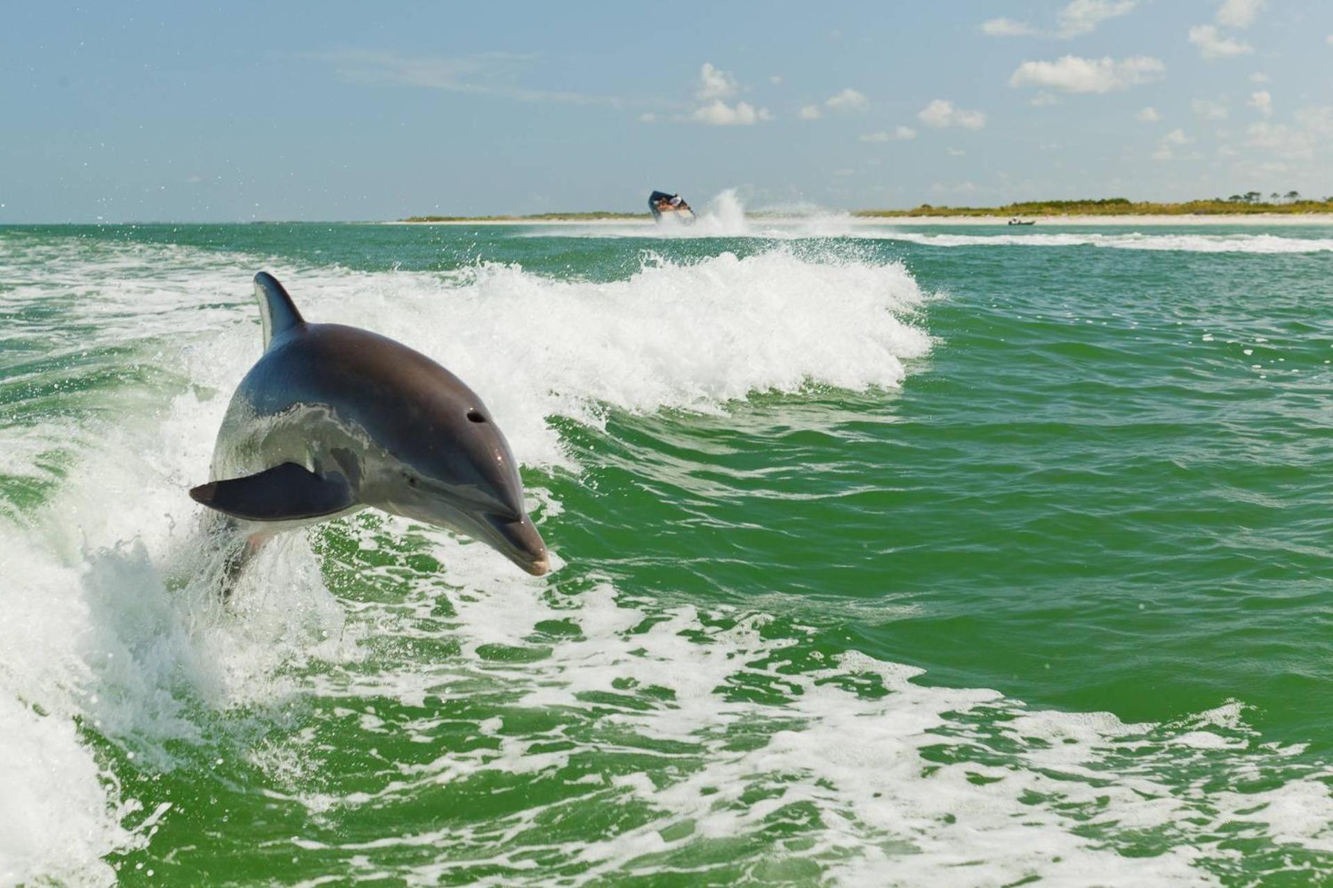 Holiday home 2-904 - Ocean Sands St. Pete Beach