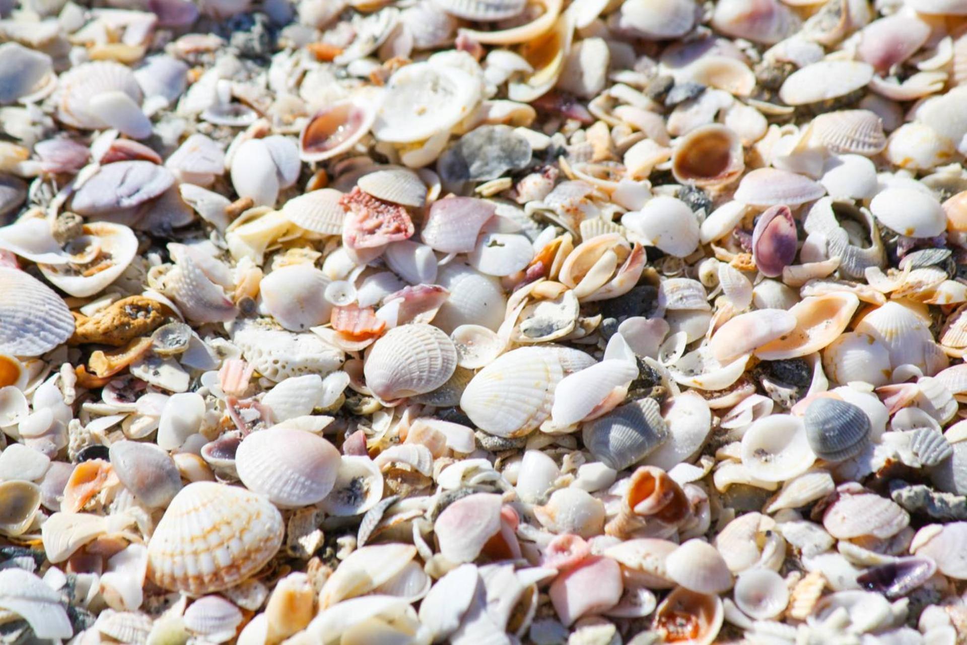 Holiday home 2-904 - Ocean Sands
