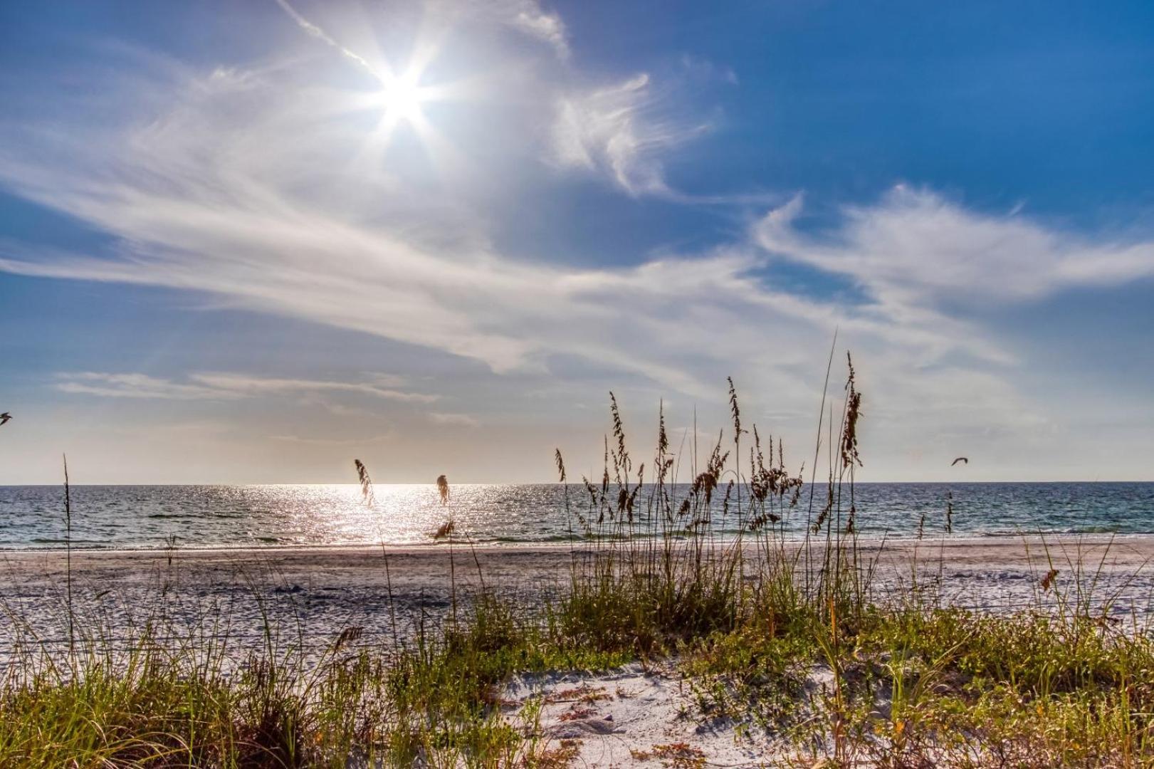 Resort The New Collection Beachfront Clearwater Beach