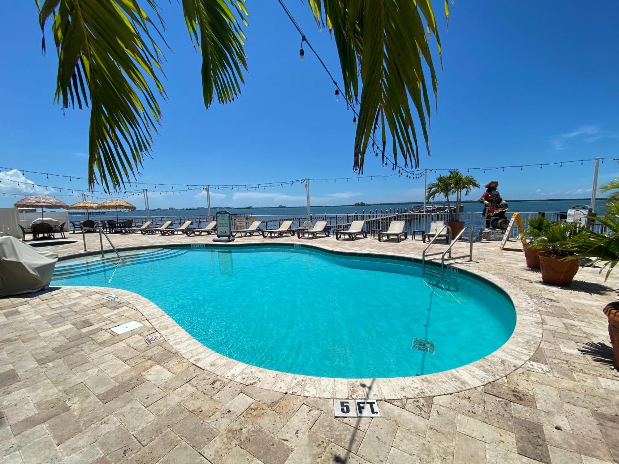 In Waterfront With Balcony Close To Beaches Free Bikes * Dunedin