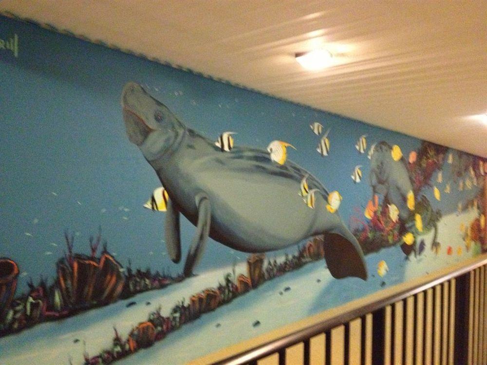 Dolphin Key -