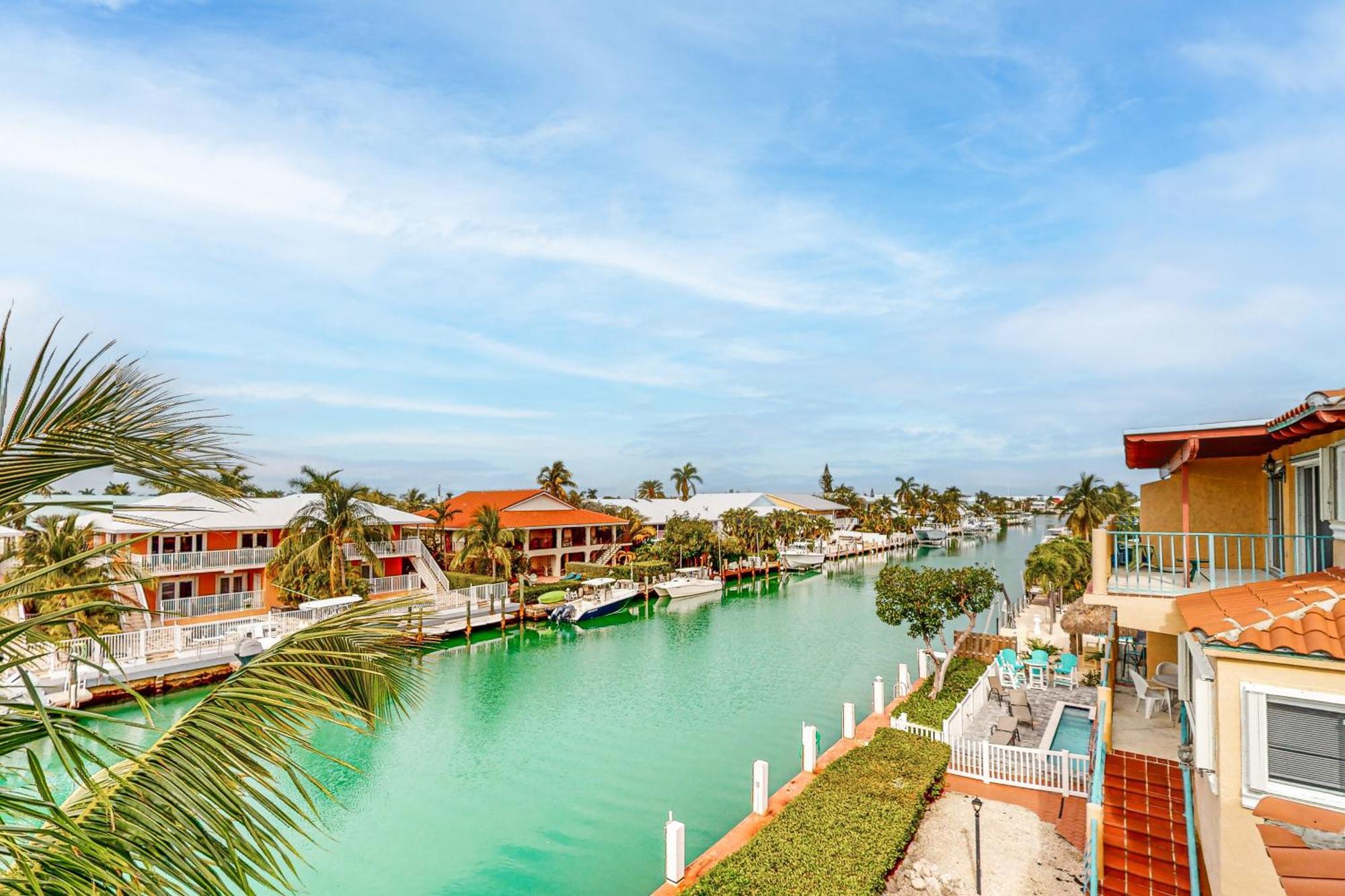 Breezy Palms & Tropical Charm