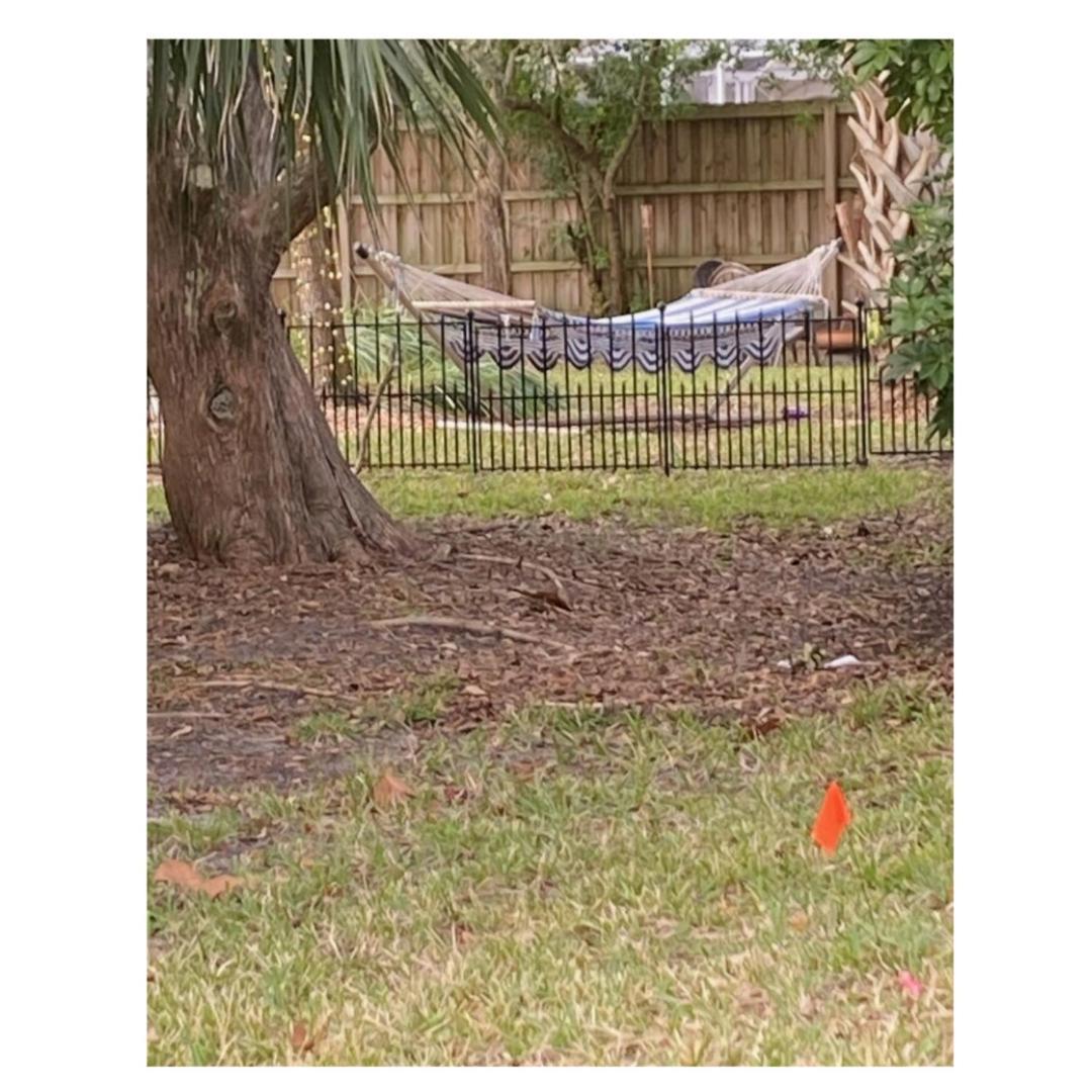 Island Charmer Davis Shores, Pets, Firepit * St. Augustine