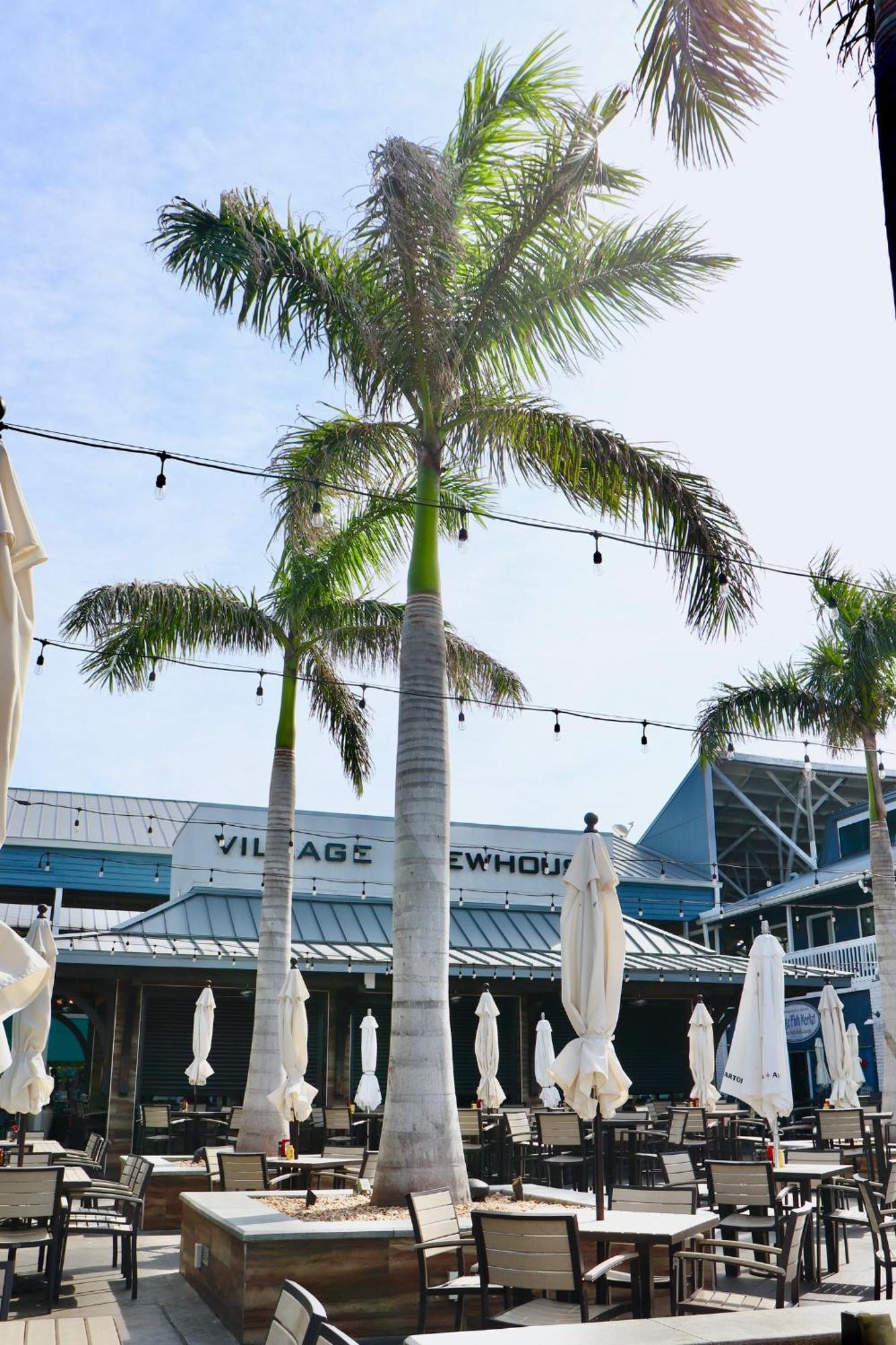 The At Fishermen's Village - 2 Bedroom Hotel Punta Gorda