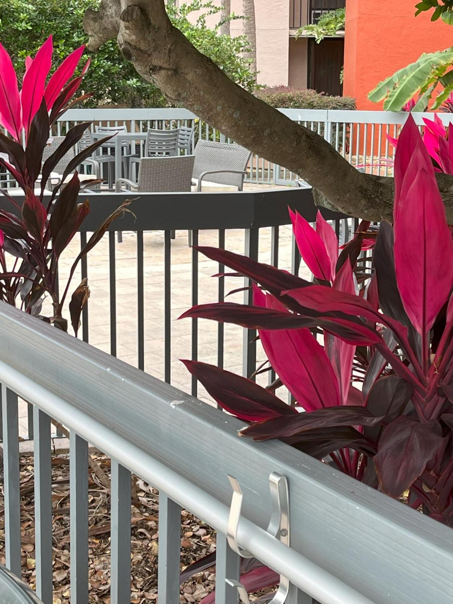 Grand Hotel Orlando At Universal Blvd - Shuttle To Theme Parks Hotel 3*