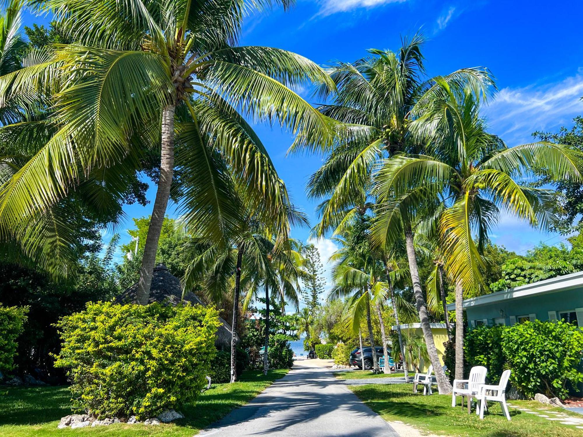 Sunset Cove Key Largo