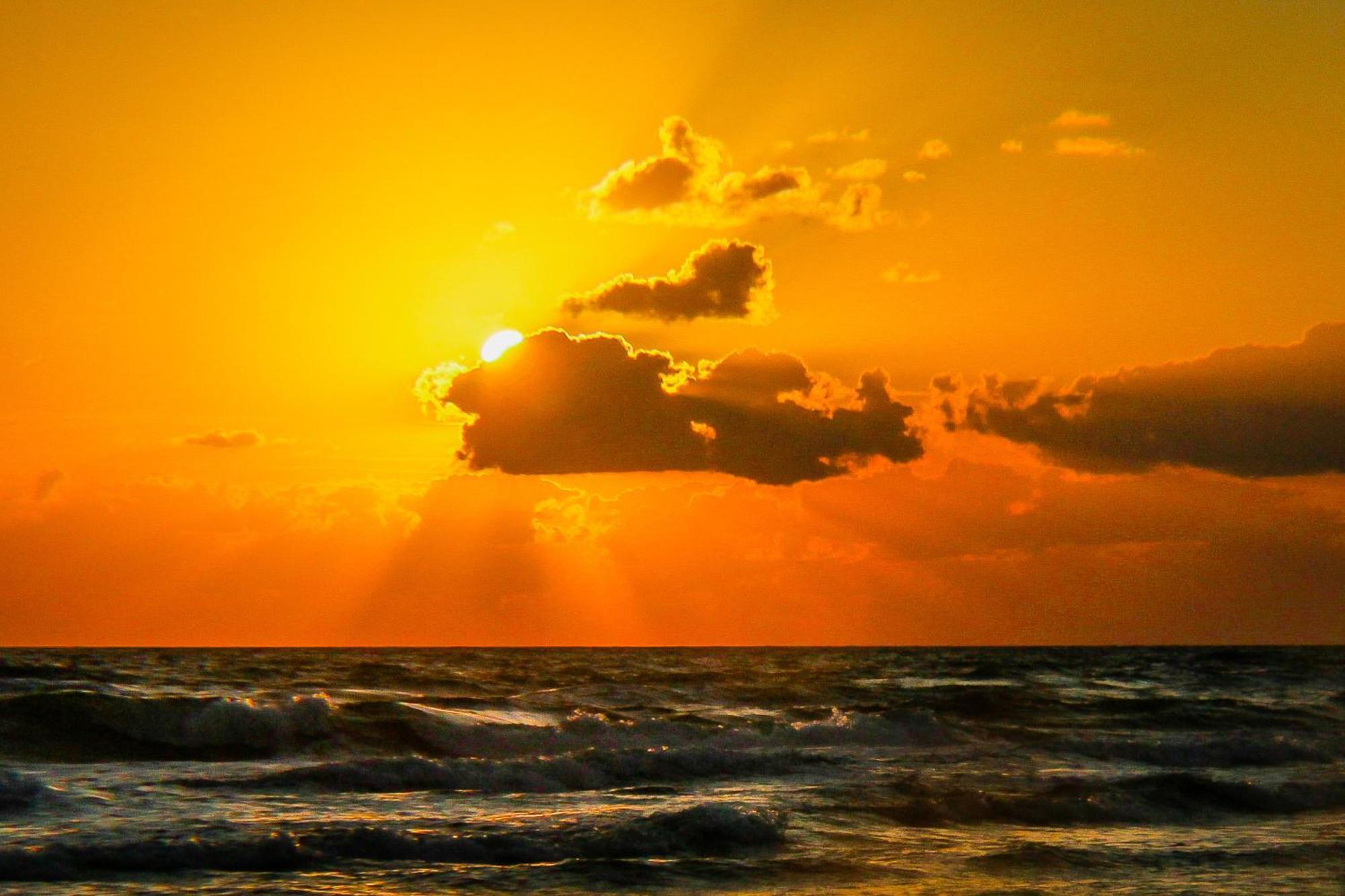 Ocean Walk 2424b