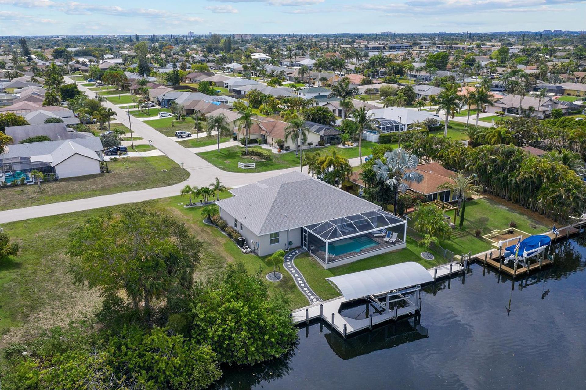 Dandelion Cape Coral