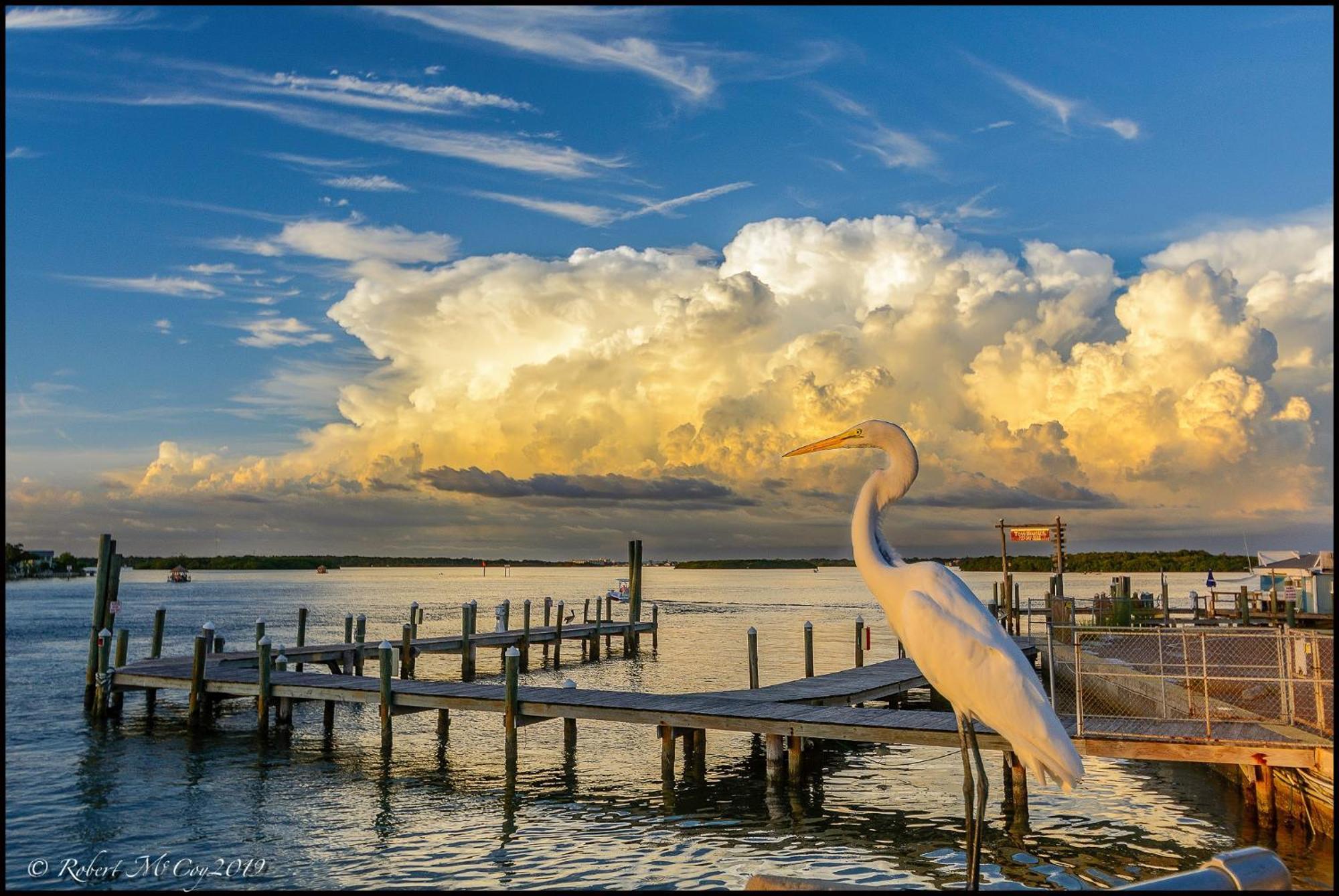 Affordable Two Bedroom Tropical - Private Beach, Pools, Hot Tub * St. Petersburg