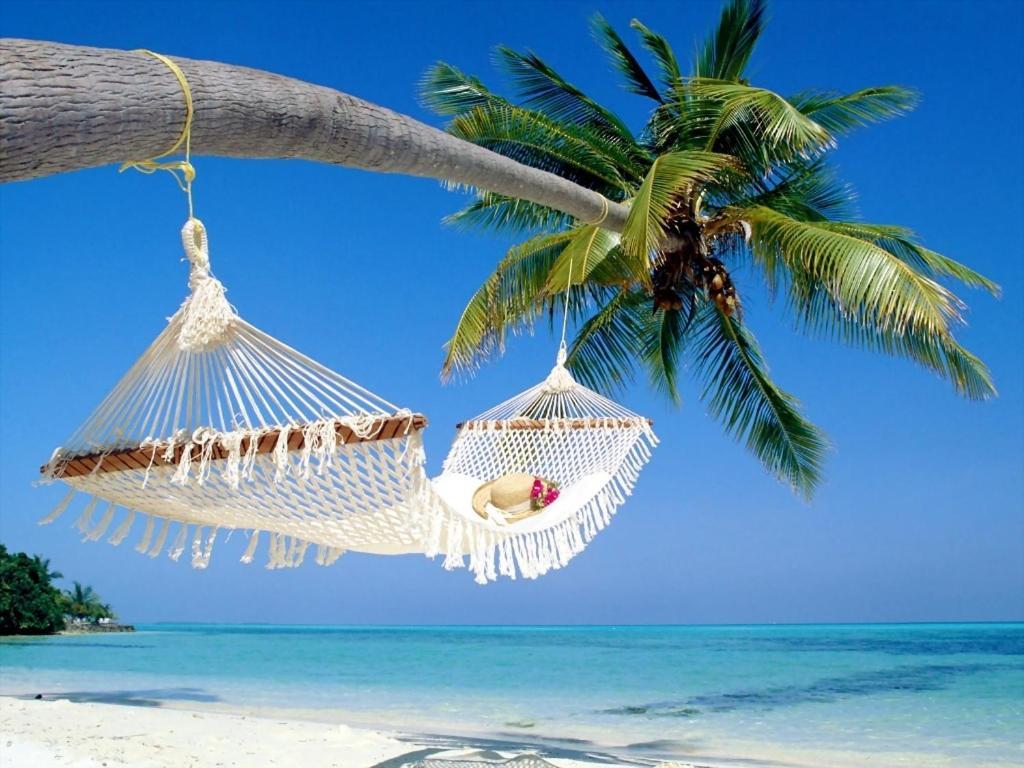 Affordable Two Bedroom Tropical - Private Beach, Pools, Hot Tub St. Petersburg
