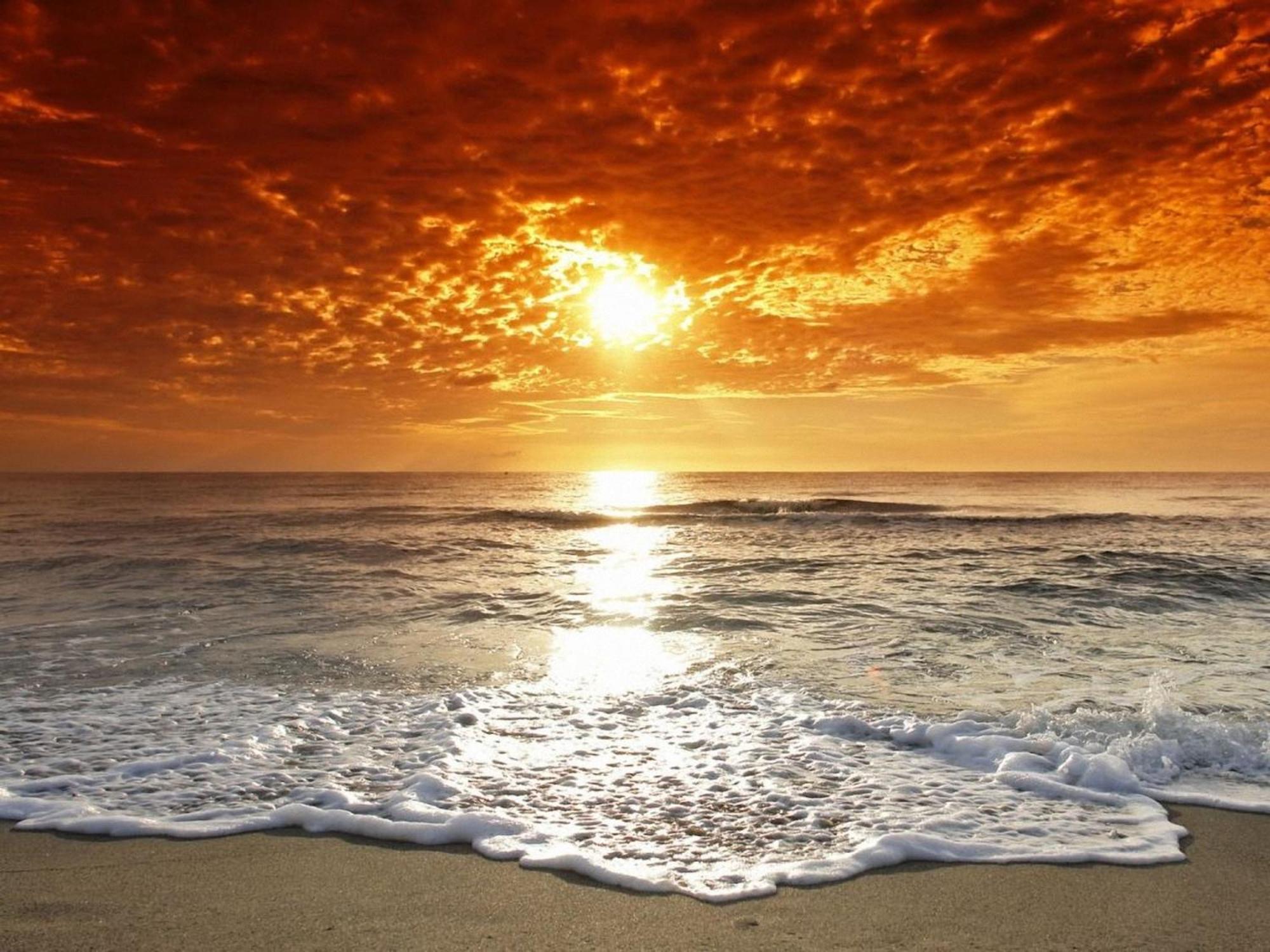 Affordable Two Bedroom Tropical - Private Beach, Pools, Hot Tub St. Petersburg