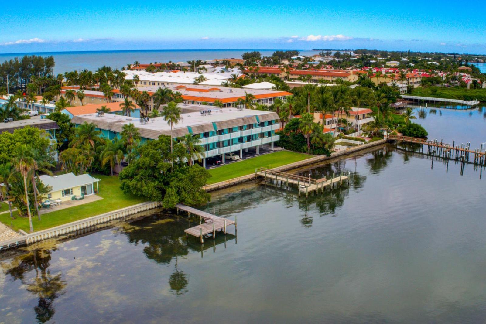 Anna Maria Island Palms 2b