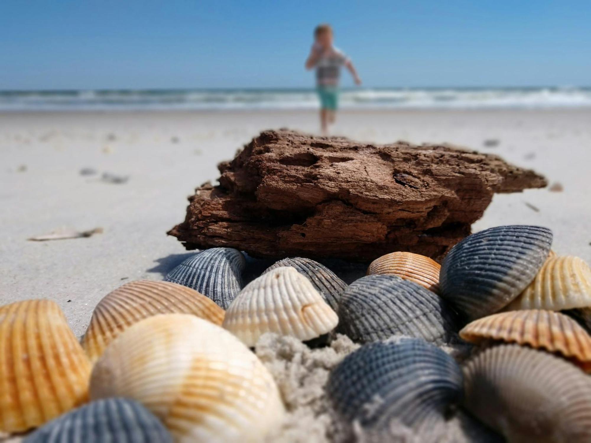 Ocean Sands (adults Only) 4* St. Augustine