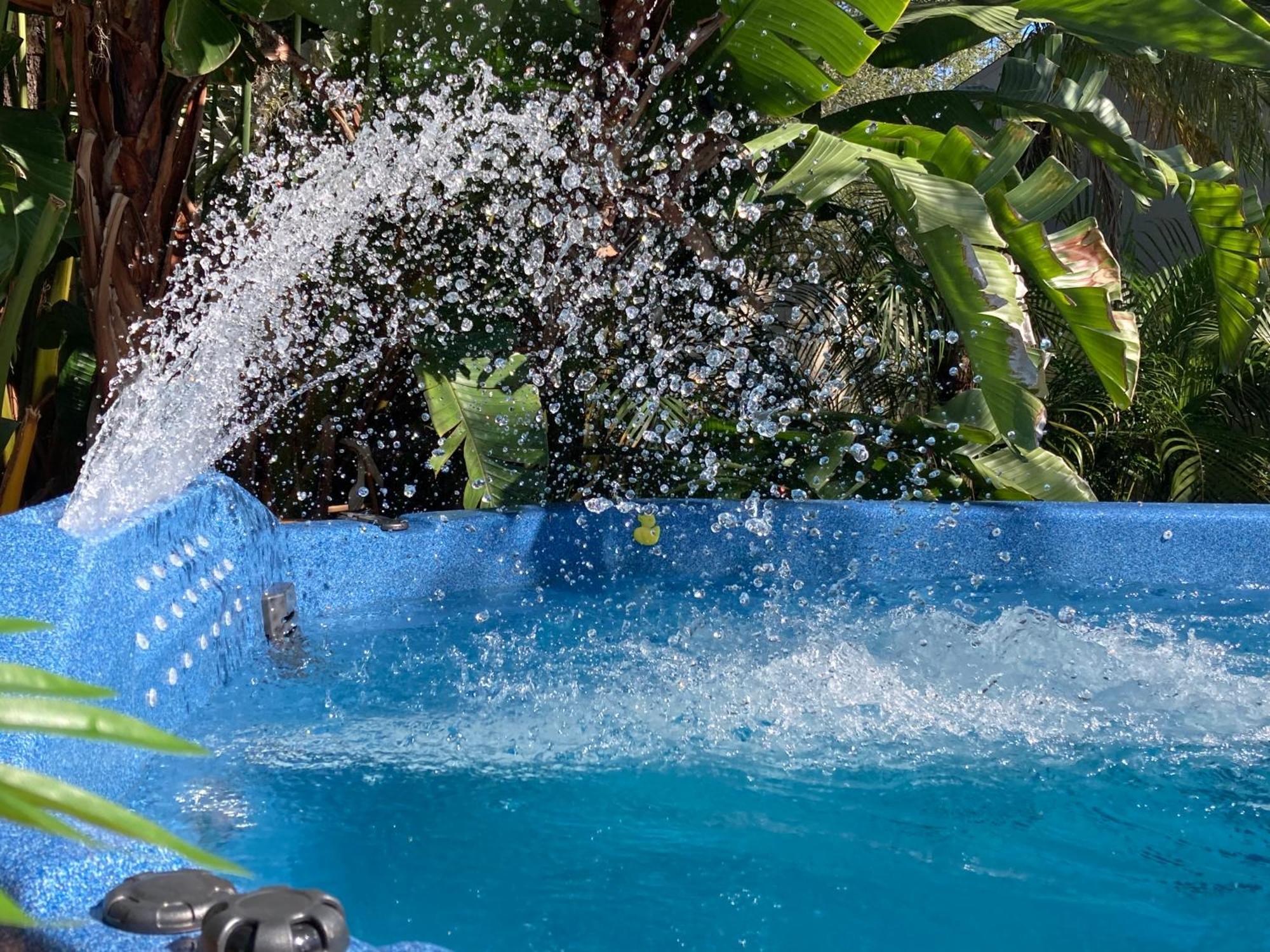 3gulls Ozona-boutique Hotel-steps From Restaurants & Brewery-swimspa Pool-pet Friendly * Palm Harbor