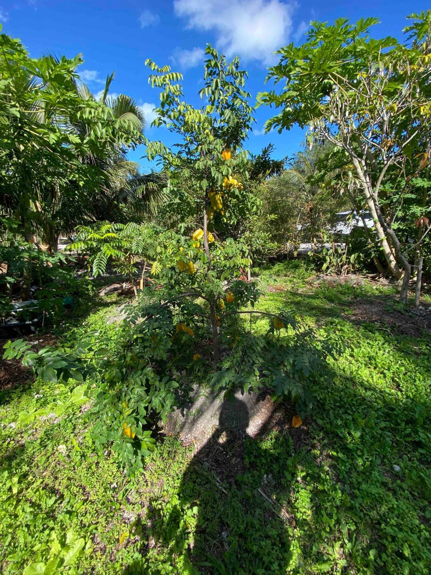 Ocean View With Pool, 4 Bedroom Near Key West Villa