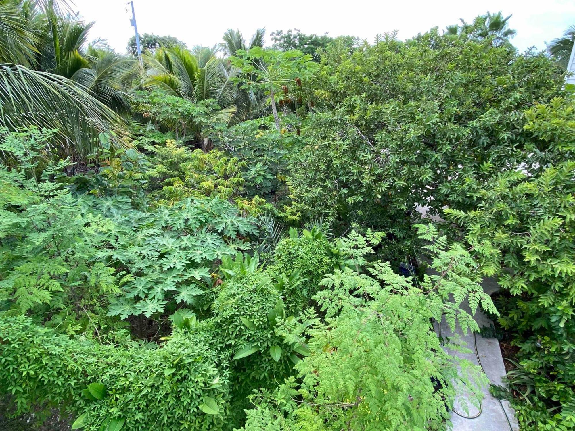 Ocean View With Pool, 4 Bedroom Near Key West *