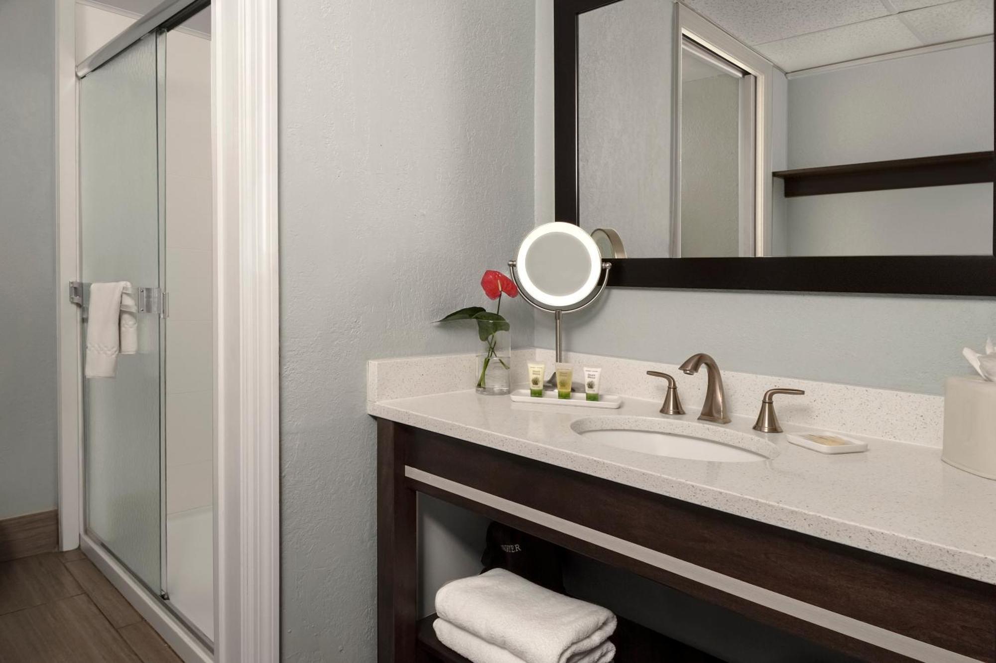 Dolphin Hotel 3*