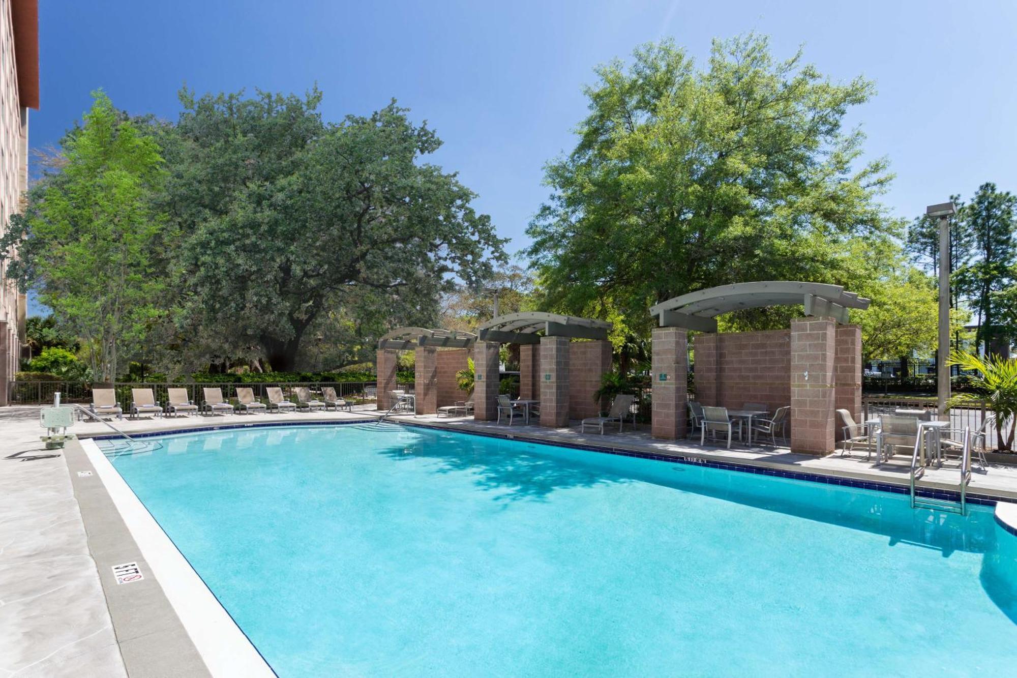 Embassy By Hilton Usf Near Busch Gardens 3* Tampa
