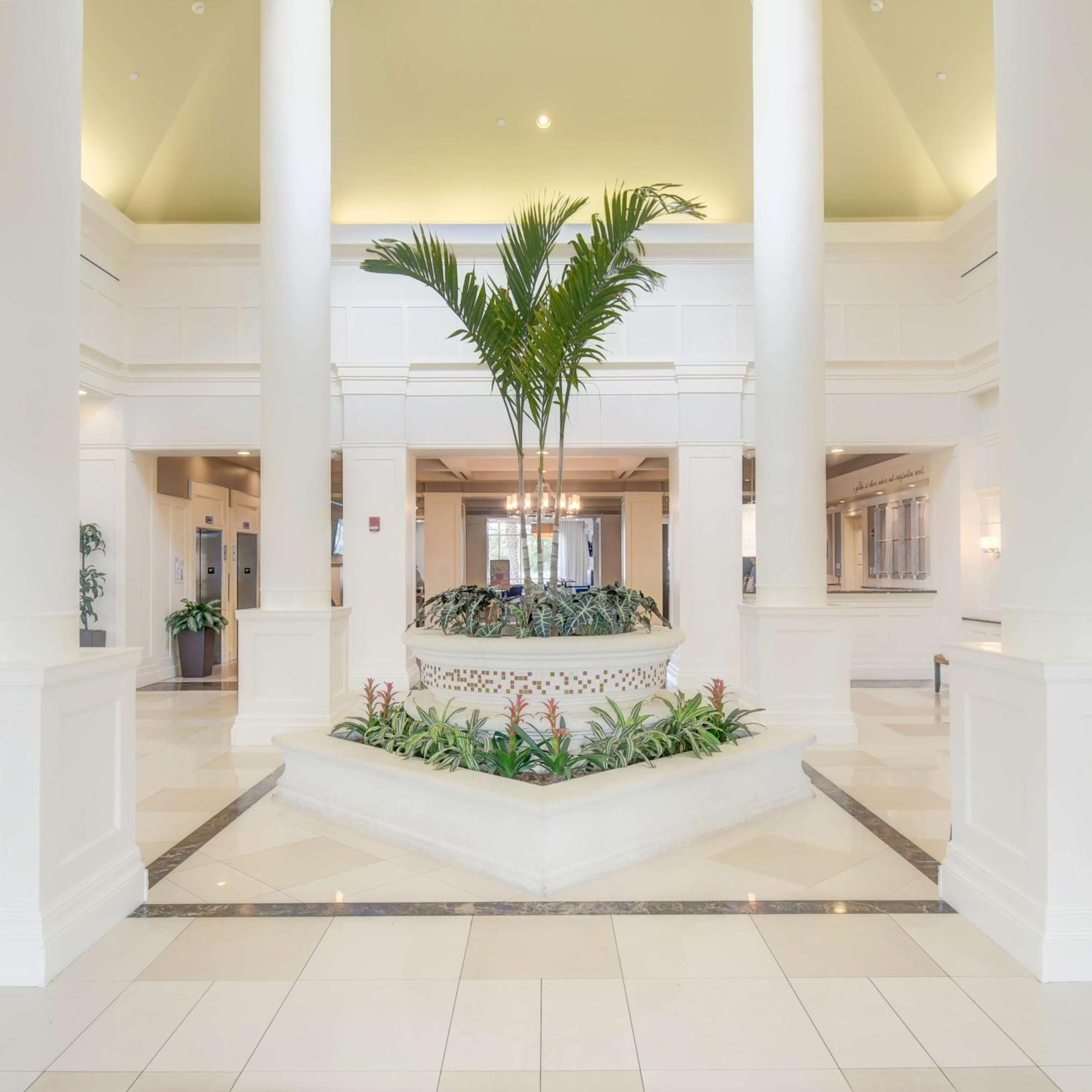 Hotel Hilton Garden Palm Gardens