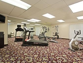 Baymont By Wyndham Near Busch Gardens Hotel Tampa