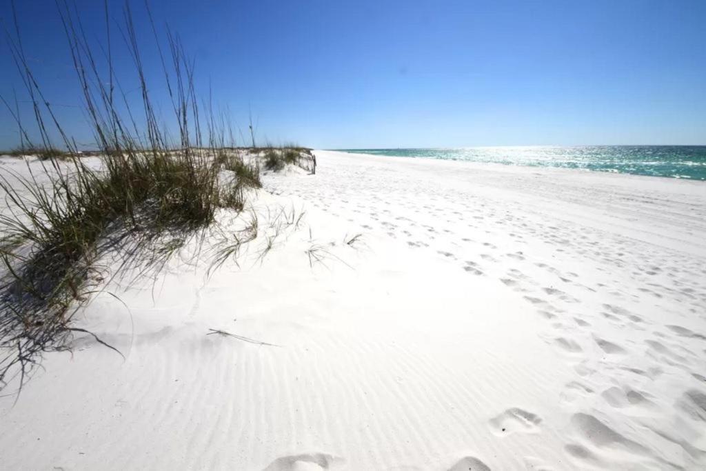 Blessing * Navarre