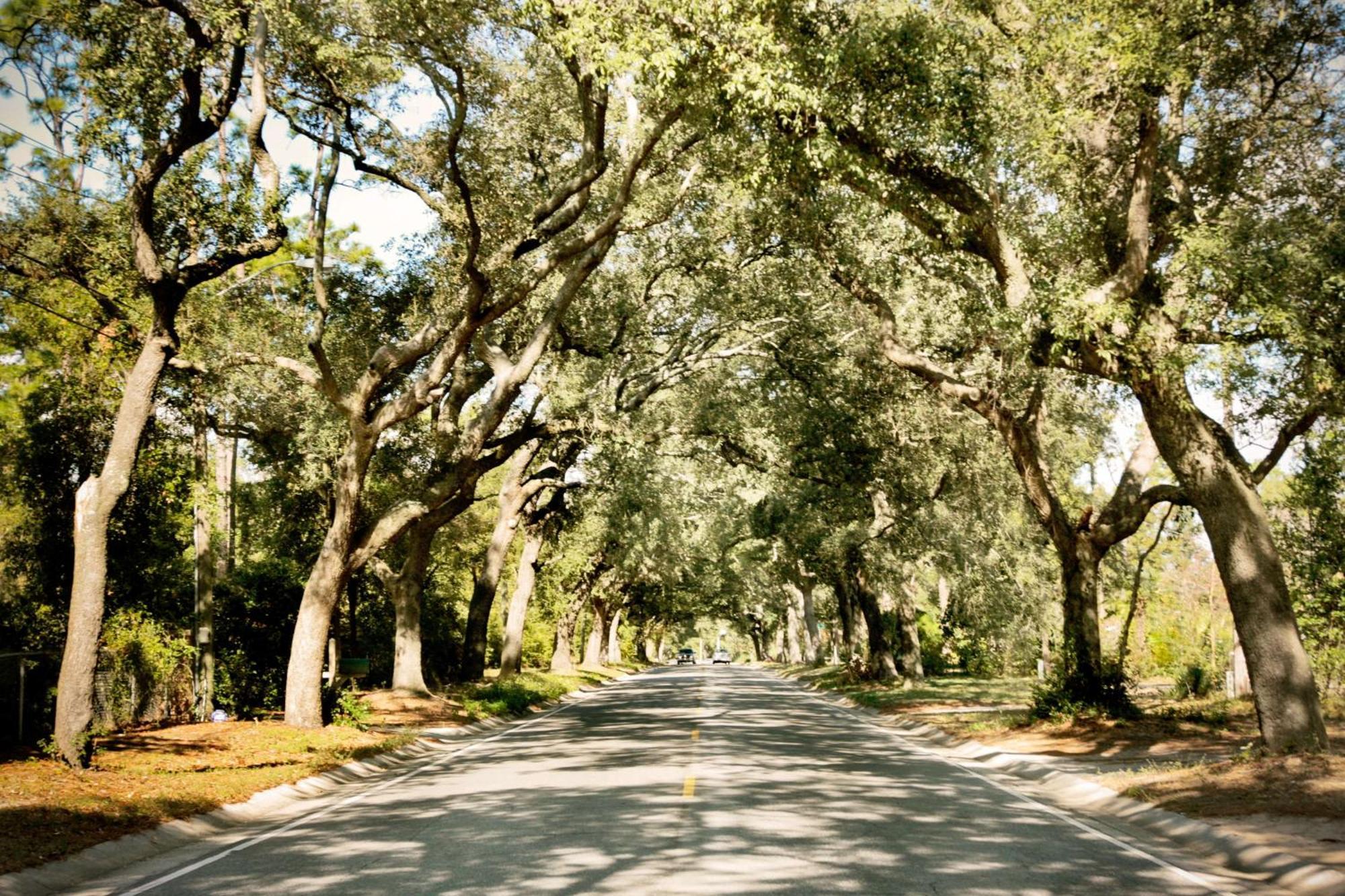 Hampton Pensacola-airport Hotel 3*