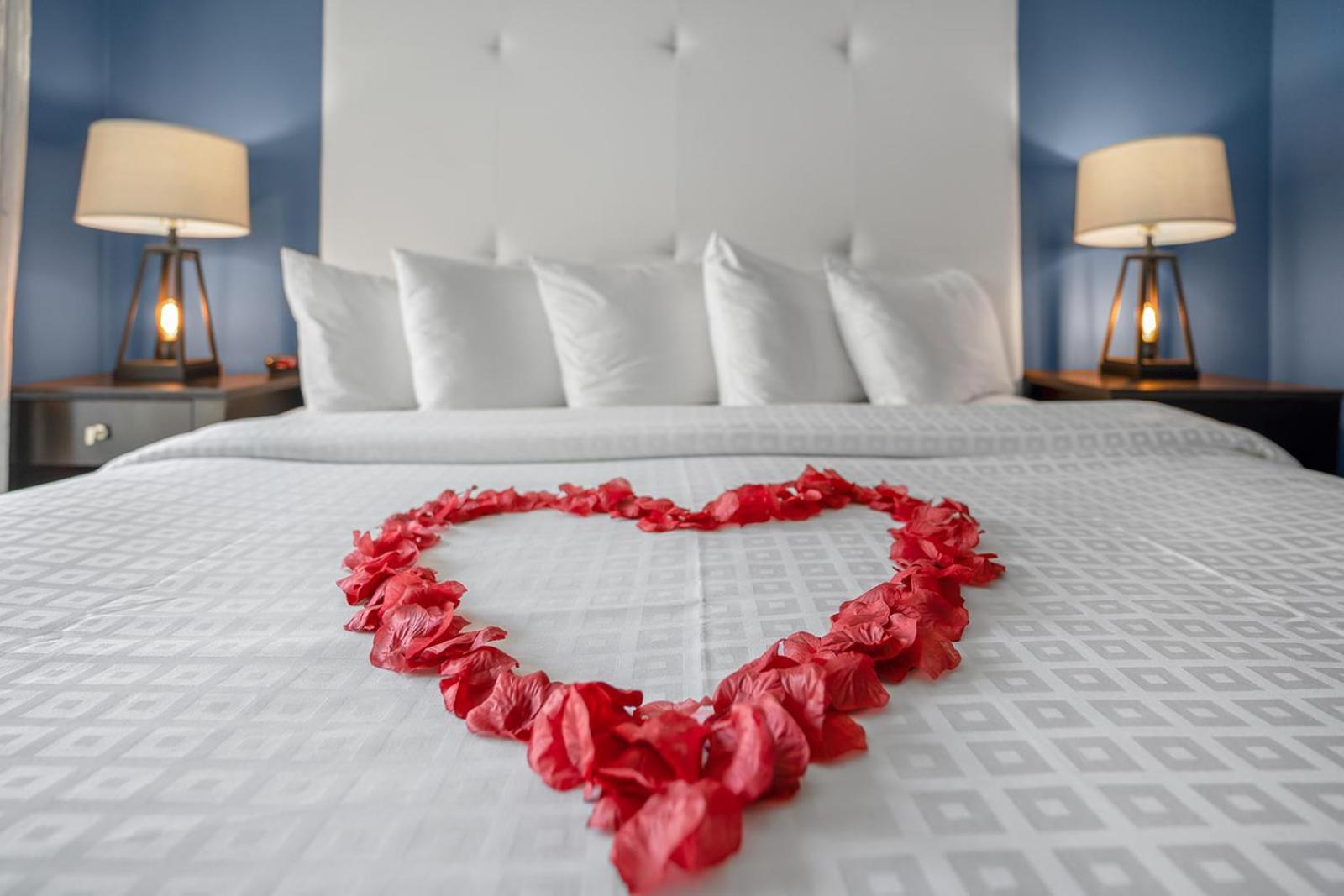 Hotel Avalon Downtown St. Petersburg