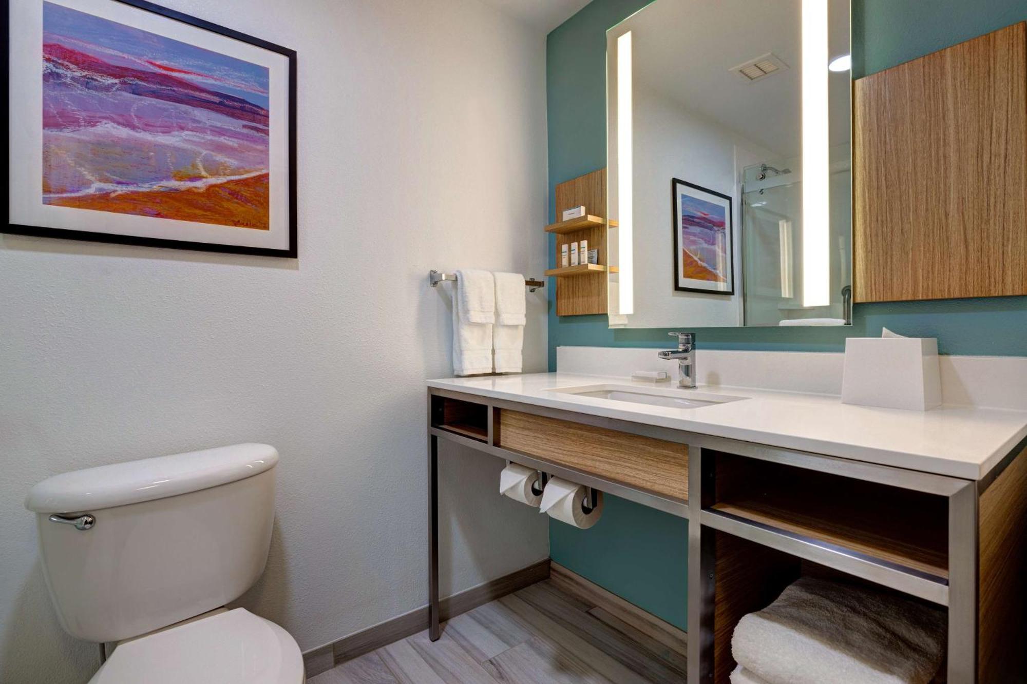 Hilton Garden Tampa Northwest/oldsmar Hotel