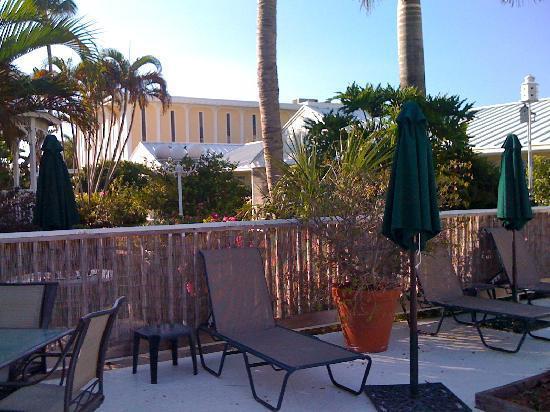 Lemon Tree Naples