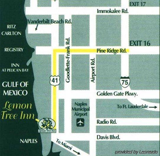 Lemon Tree 3*