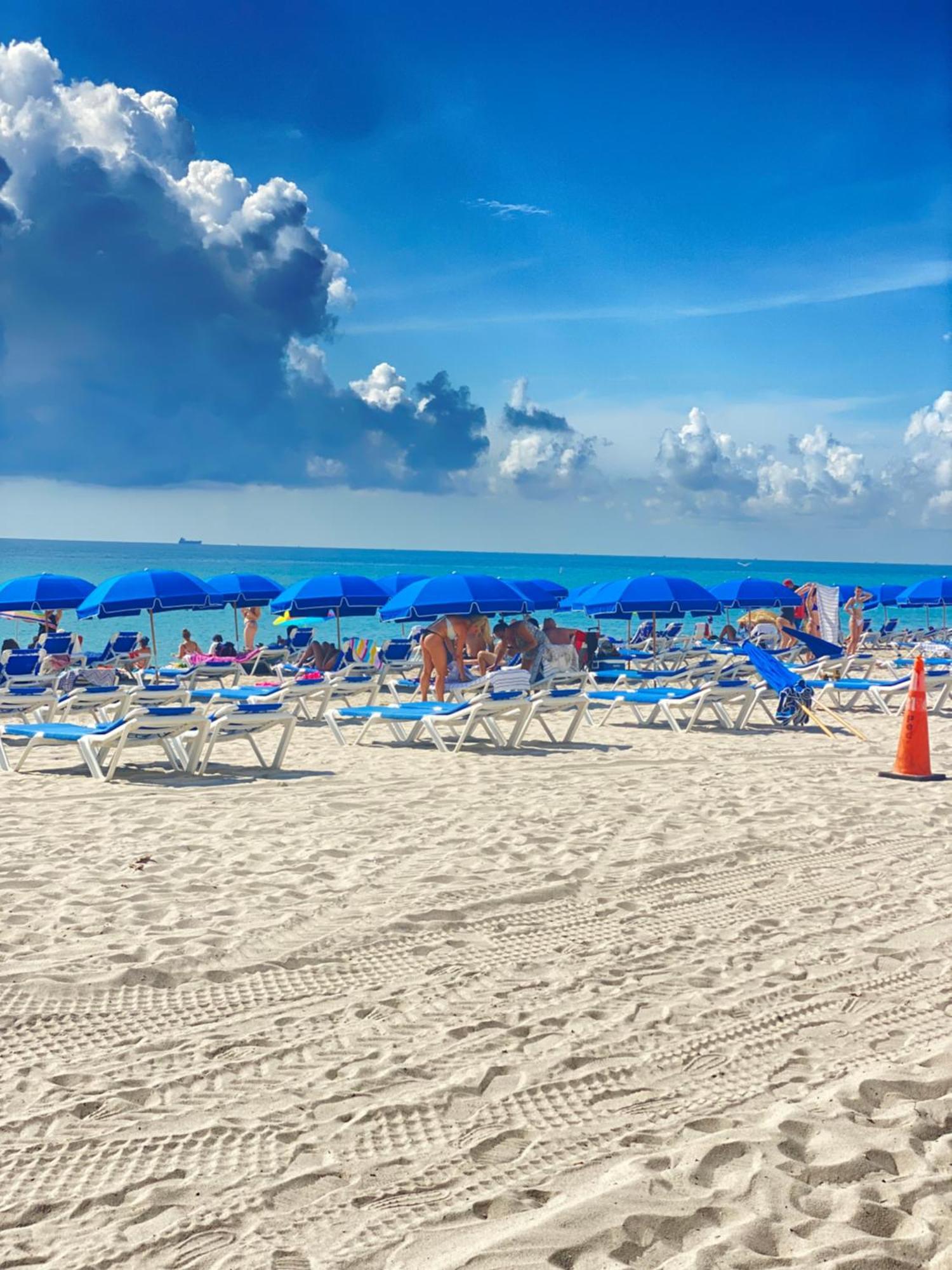 Miami Oceanview Oasis Collins Ave Free Parking * Sunny Isles Beach