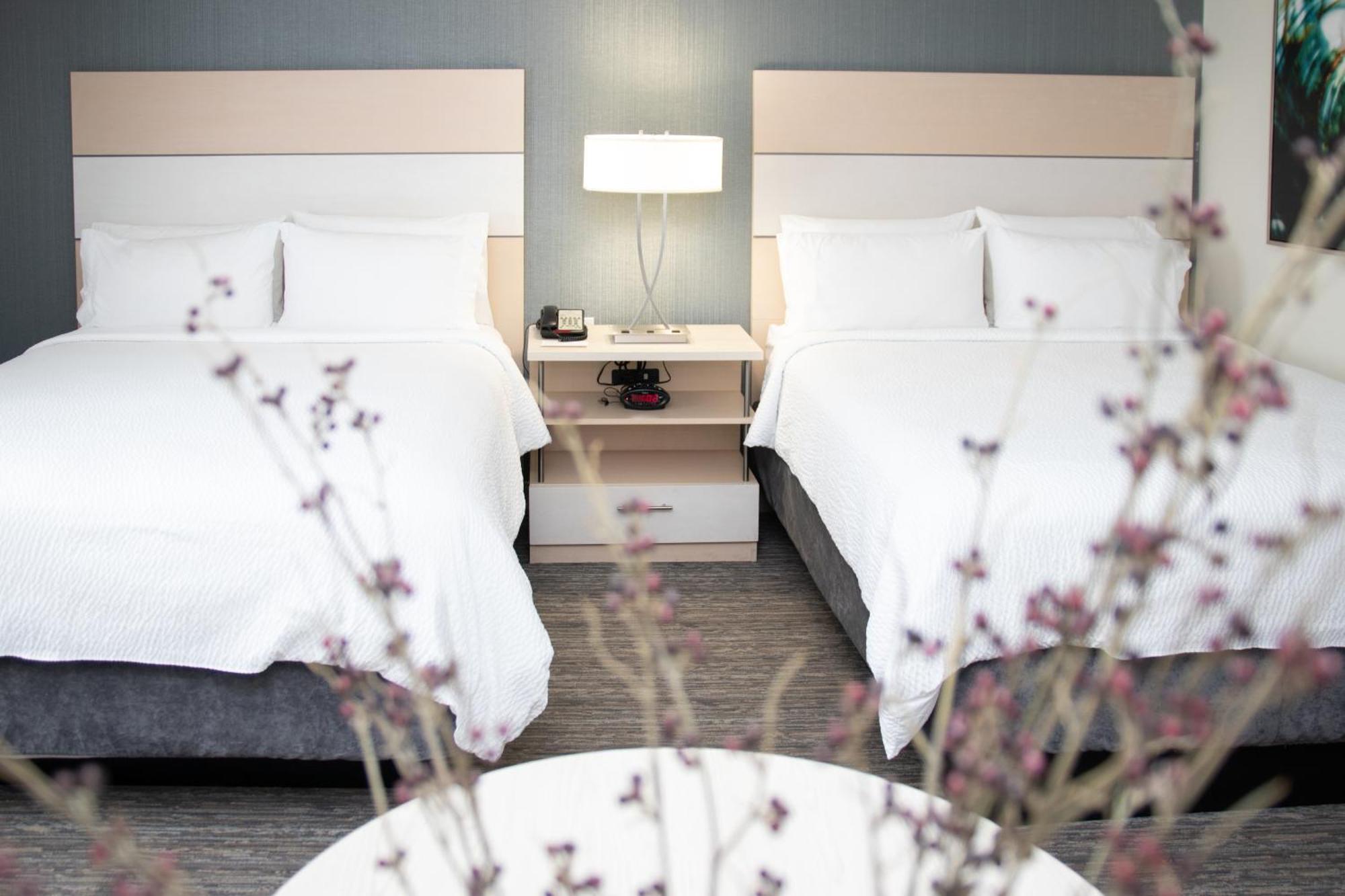 Candlewood Miami Intl Airport - 36th St By Ihg Hotel Miami Springs