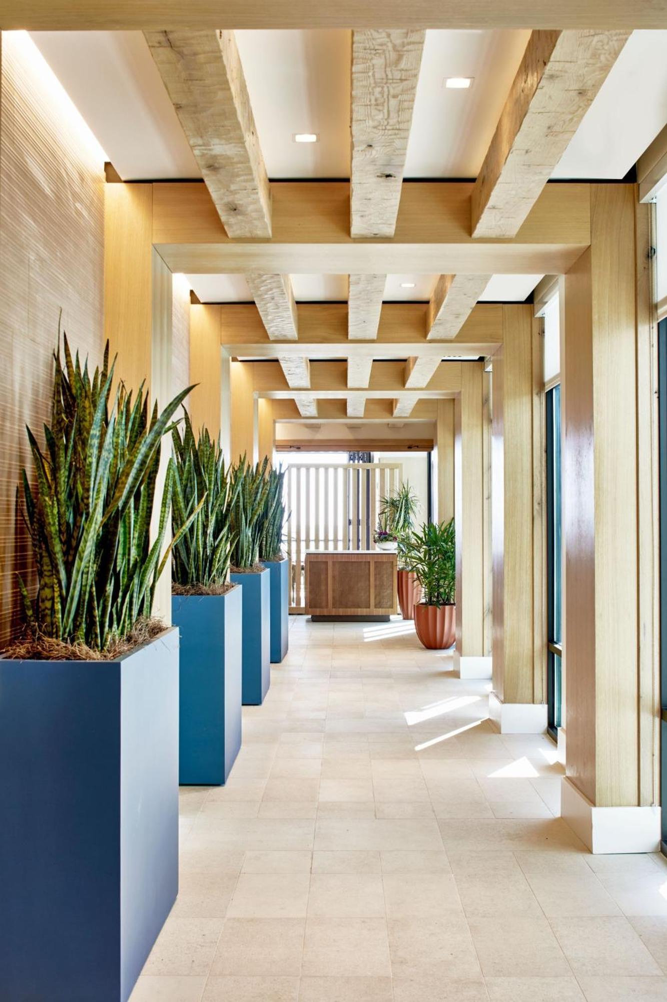 Hotel Springhill By Marriott Jacksonville Oceanfront