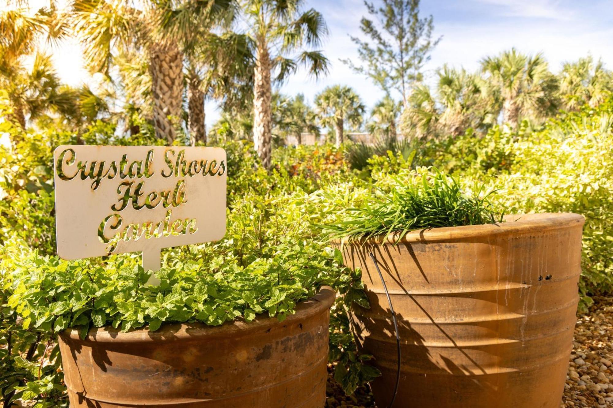 Hotel Marriott's Crystal Shores