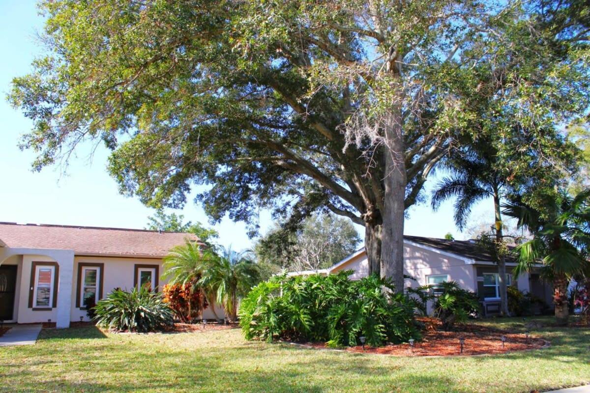 Charming W Private Heated Pool & Hot Tub Palm Harbor