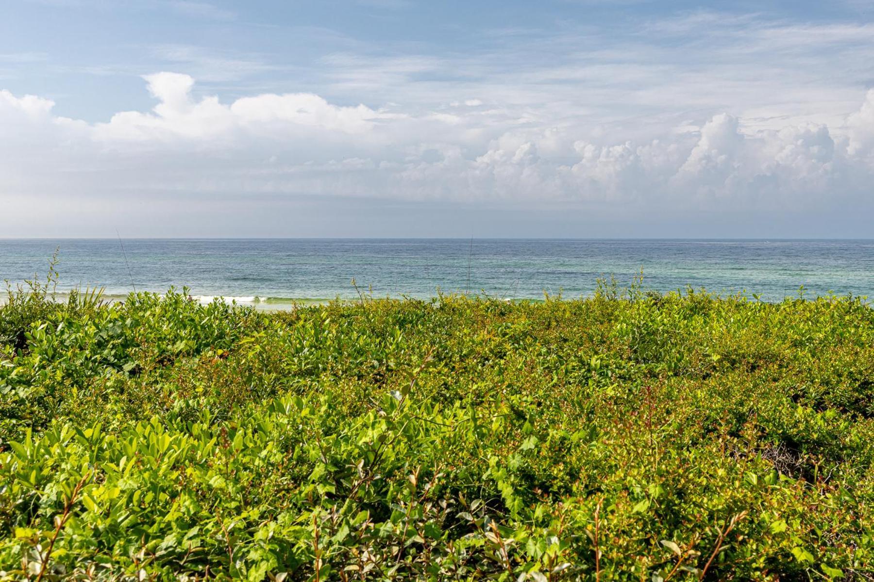 Paradise Palms, Renovated 30a Gulf Front Condo, Sleeps 6, Private Beach Access & 2 Bikes Holiday home Seagrove Beach
