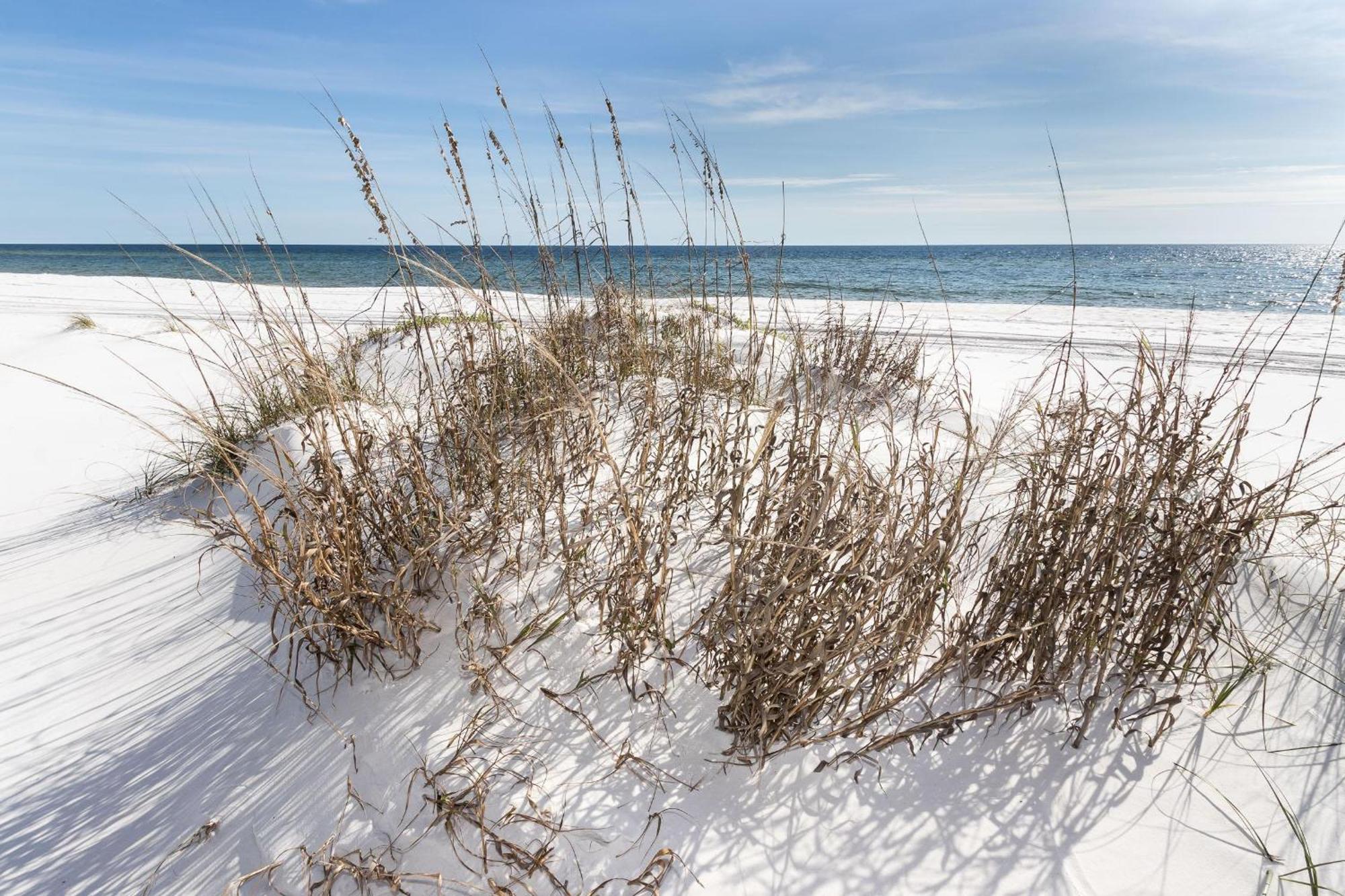 Nautilus 1701 Gulf Front 2 Bedroom Large Penthouse Huge Wrap Around Balcony * Fort Walton Beach