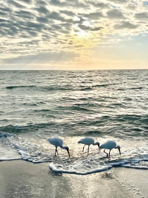 Holiday home A Cozy Close To Beach And Downtown Bonita Springs