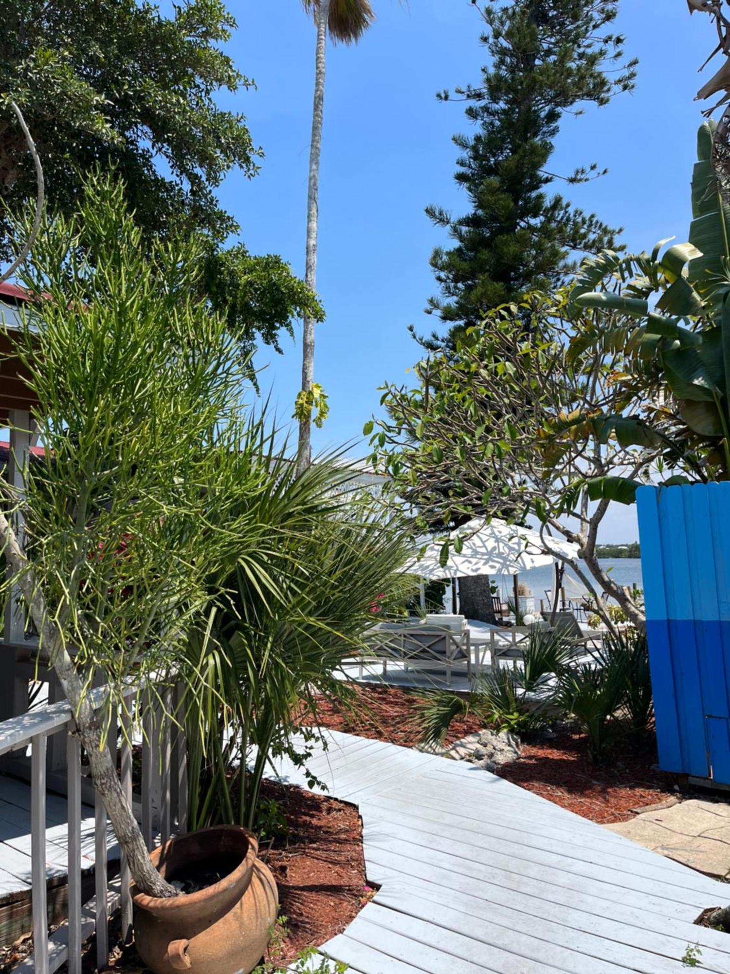 Resort Turtle Siesta Key