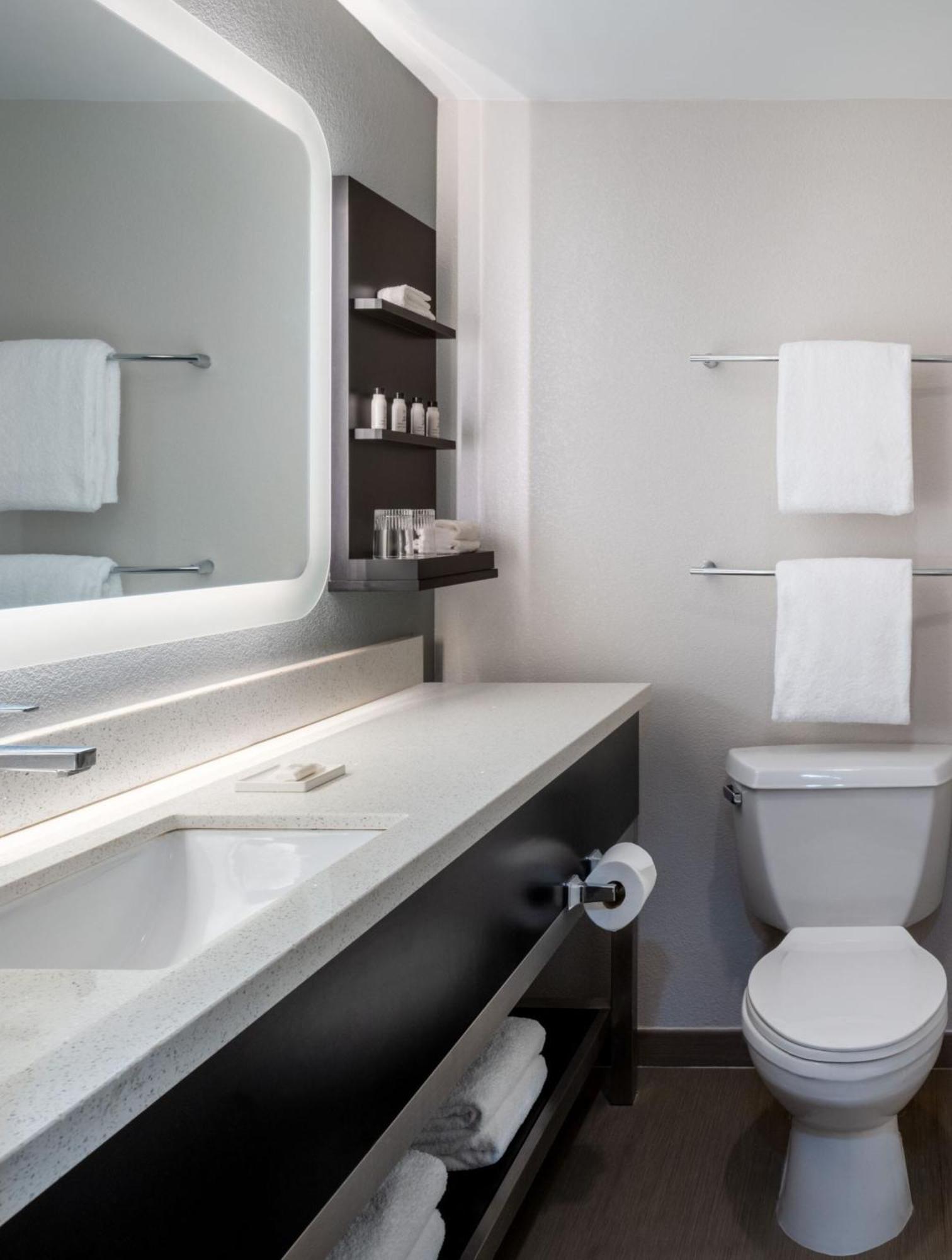 Hotel Delta By Marriott Deerwood 4*