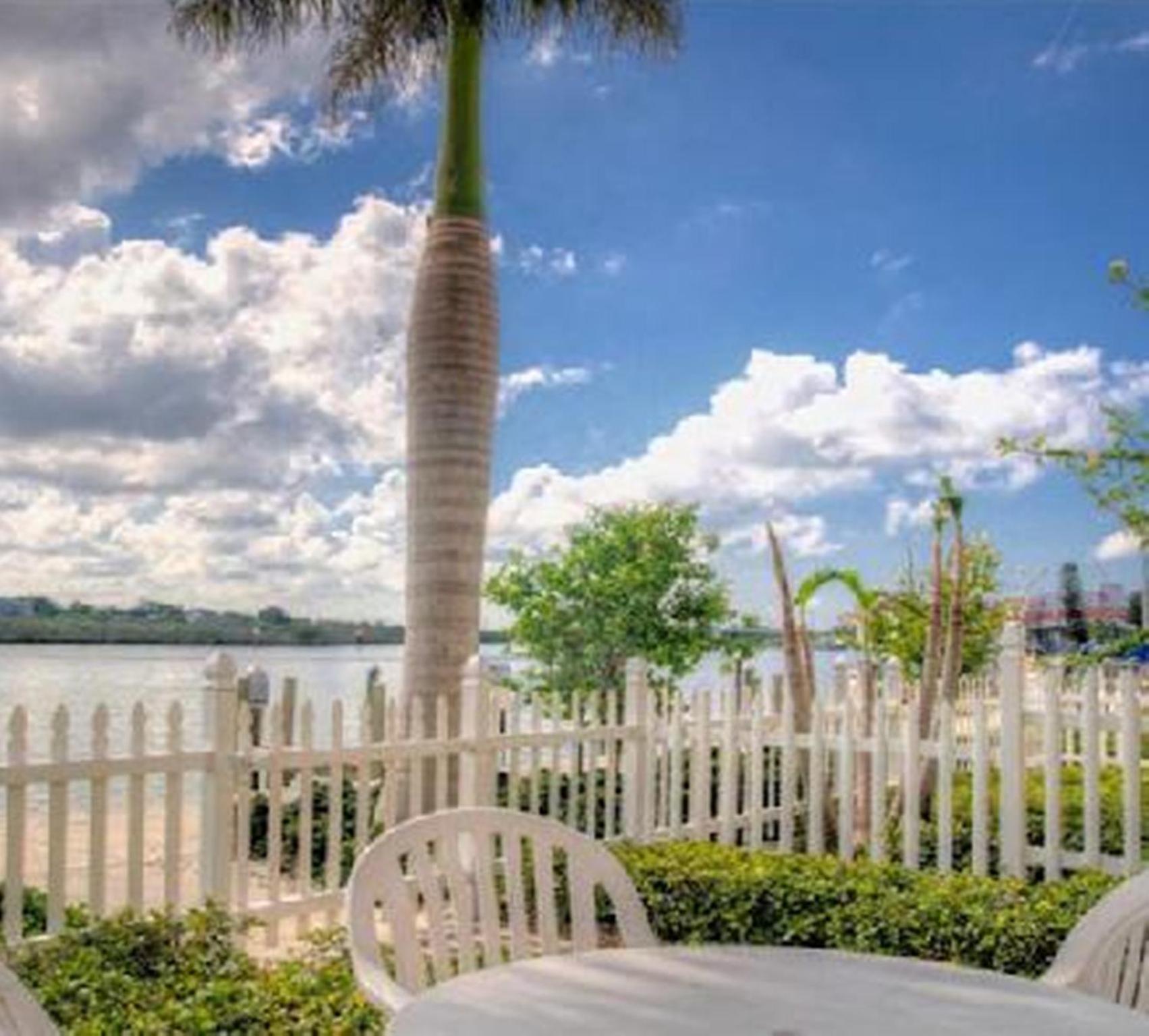 Barefoot Clearwater Beach